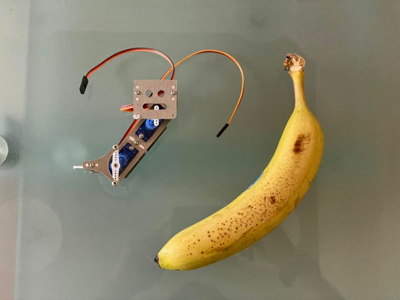 Image of the laser cut version of the small design from the previous image next to a banana for scale